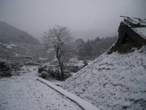 岩座神 雪景色